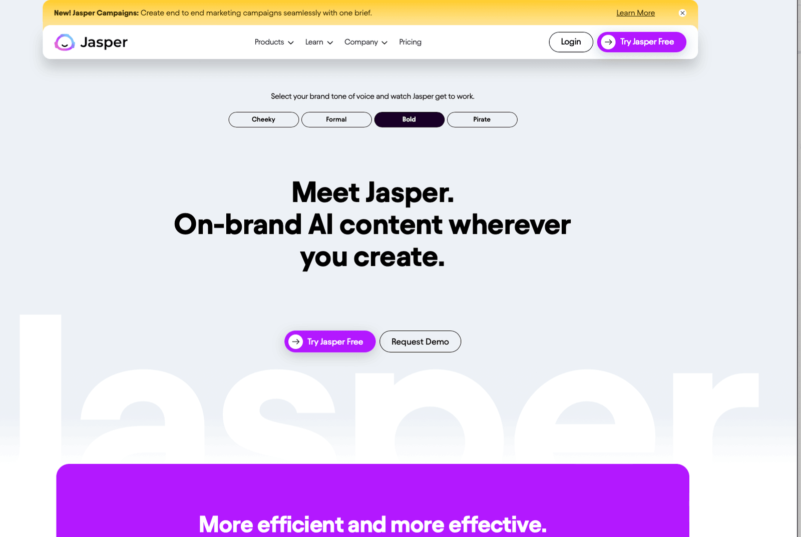 Jasper Chatbot - AI chatbot for business and marketing - insidr.ai